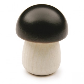 12260 Steinpilz Erzi