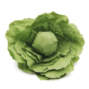 12280 Salatkopf Erzi